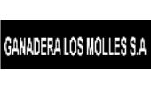Cliente